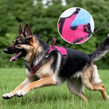 Imbracatura per cani animali