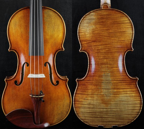 Nicely master violino fatto - master,