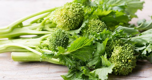 1800 semi cima rapa - 1800,