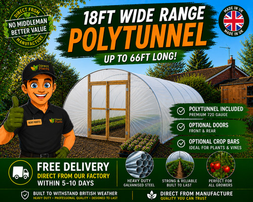 Serra polytunnel commerciale - serra,