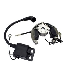 Stator + Rotor + Ignition Coil