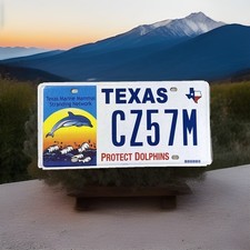 Targa Texas Scaduta Proteggi