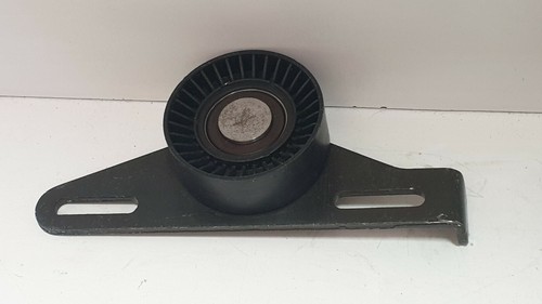 Tendicinghia alternatore per