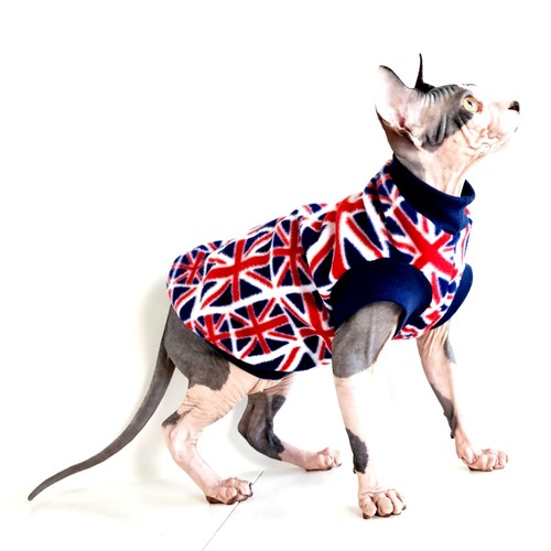 Devon rex peterbald pet - peterbald,,