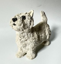 West Highland White Terrier