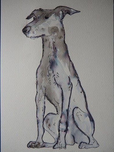 Disegno cane lavaggio