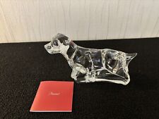 Cane Labrador Chiaro In