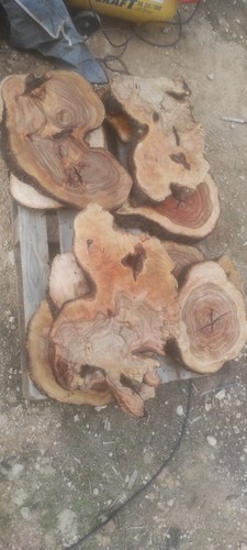 Lastre legno ulivo bordo - di,