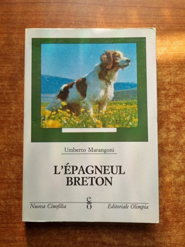 Marangoni epagneul breton - marangoni, l'epagneul