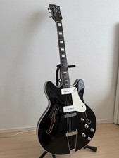 Custodia rigida per chitarra