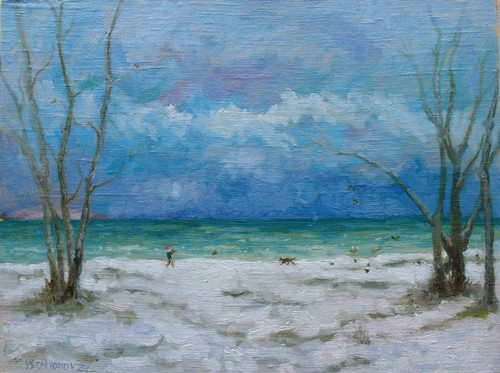 Paesaggio marino invernale che