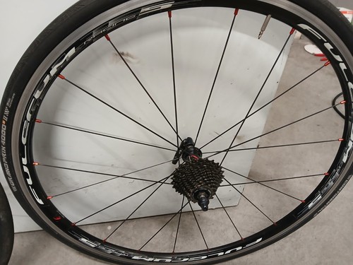 Ruote fulcrum racing - 5, rim