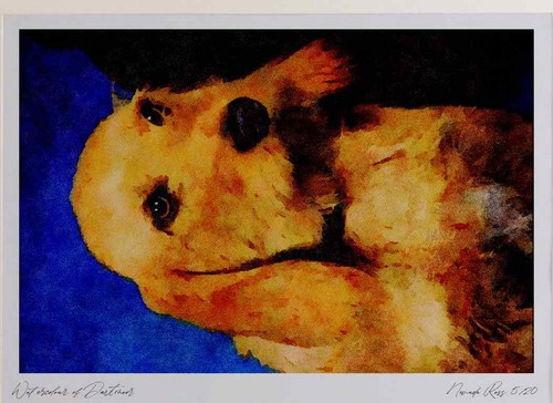 771051 basset fauve - 771051, de