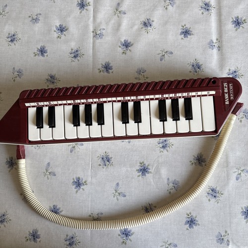 Melodica bontempi basic 25 - bontempi, bc