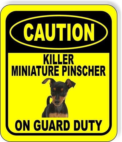 Caution killer miniatura - caution,