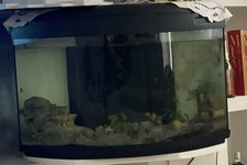 acquario Usato Curvo