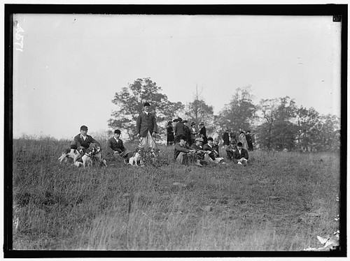 National beagle club - national,