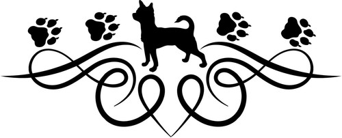Chihuahua adesivo auto sticker - adesivo,