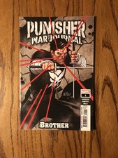 Punisher War Journal Brother