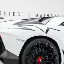 Decalcomanie quarti posteriori