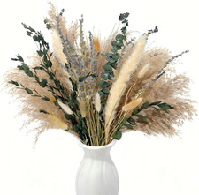 Erba Di Pampa 100 Pezzi,Fiori