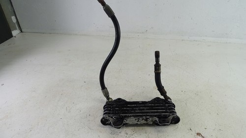Cagiva raptor 650 06 - 650, 01-06