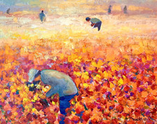 Dipinto Olio Paesaggio Campi