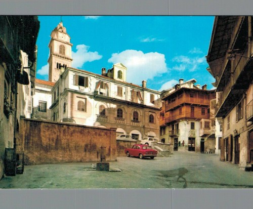 Biella mosso maria - ,