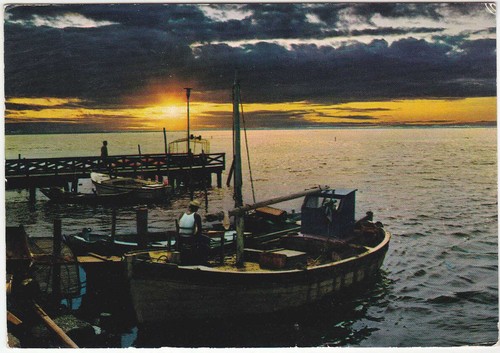 Bibione pineda venezia - bibione,