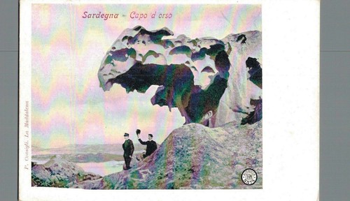 Sassari capo orso f - capo,