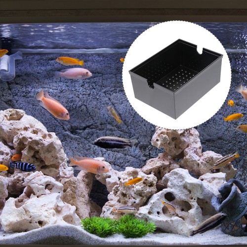 2pcs filtro esterno acquario - esterno,