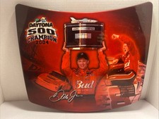 Cappuccio metallo replica Dale