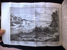 LO SPETTACOLO DELLA NATURA, ESTERIOR E INTERIORE DELLA TERRA, TOMO V, 1741