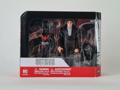 Batman beyond animated series - beyond,