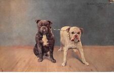 Animali - N°60511 - Cani - Razza Bouledogue