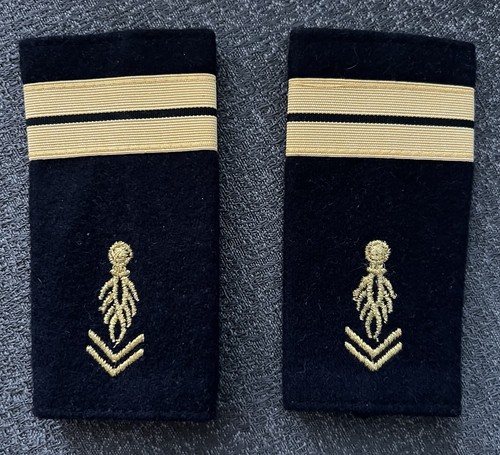 Coppia gradi militari - gradi, marina