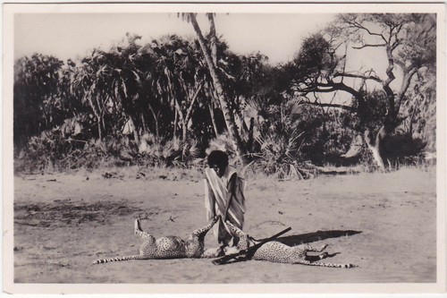 Eritrea colonie lungo - colonie, il