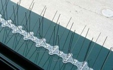 DISSUASORI SPILLI INOX X VOLATILI PICCIONI UCCELLI COLOMBI DA 50cm A 1; 5; 10mt