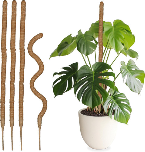 Set bastoncini in fibre - 5,