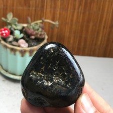 Bonsai Naturale Suiseki Gobi
