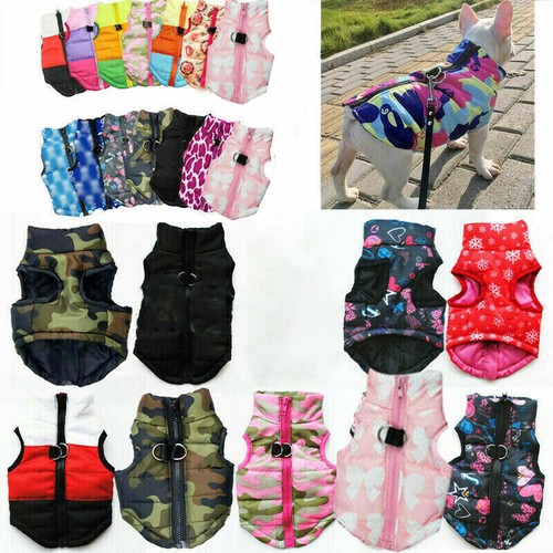 Cappotto chihuahua cane - cappotto,