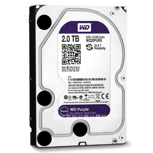 Western digital purple - western, tb