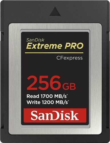 Scheda memoria sandisk - scheda,