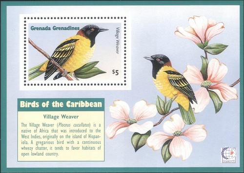 Grenadine grenada 1995 - di,