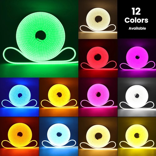 Insegna luminosa neon dc12v - insegna,