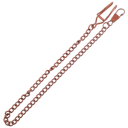 Pcs catene per orologi - catene,
