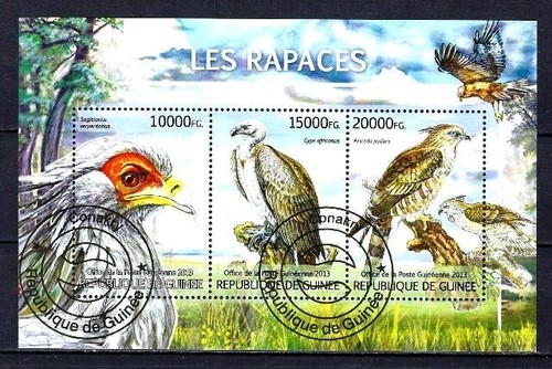 Animali uccelli rapaci guinea - uccelli,