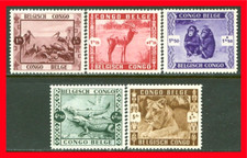 Francobolli semipostali Congo