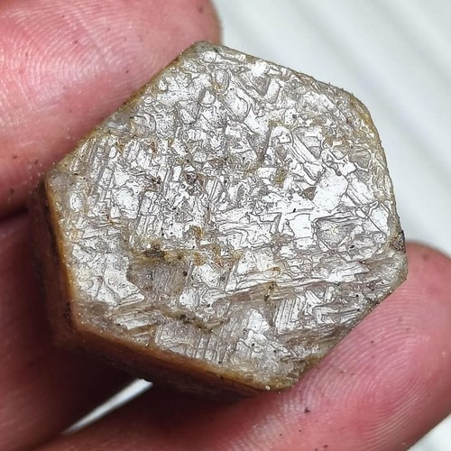 Cabochon custode dischi rubino