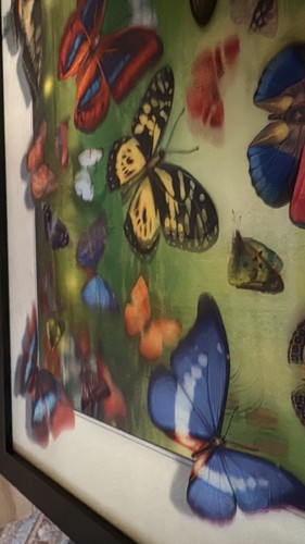Stampa artistica farfalla - 3d,